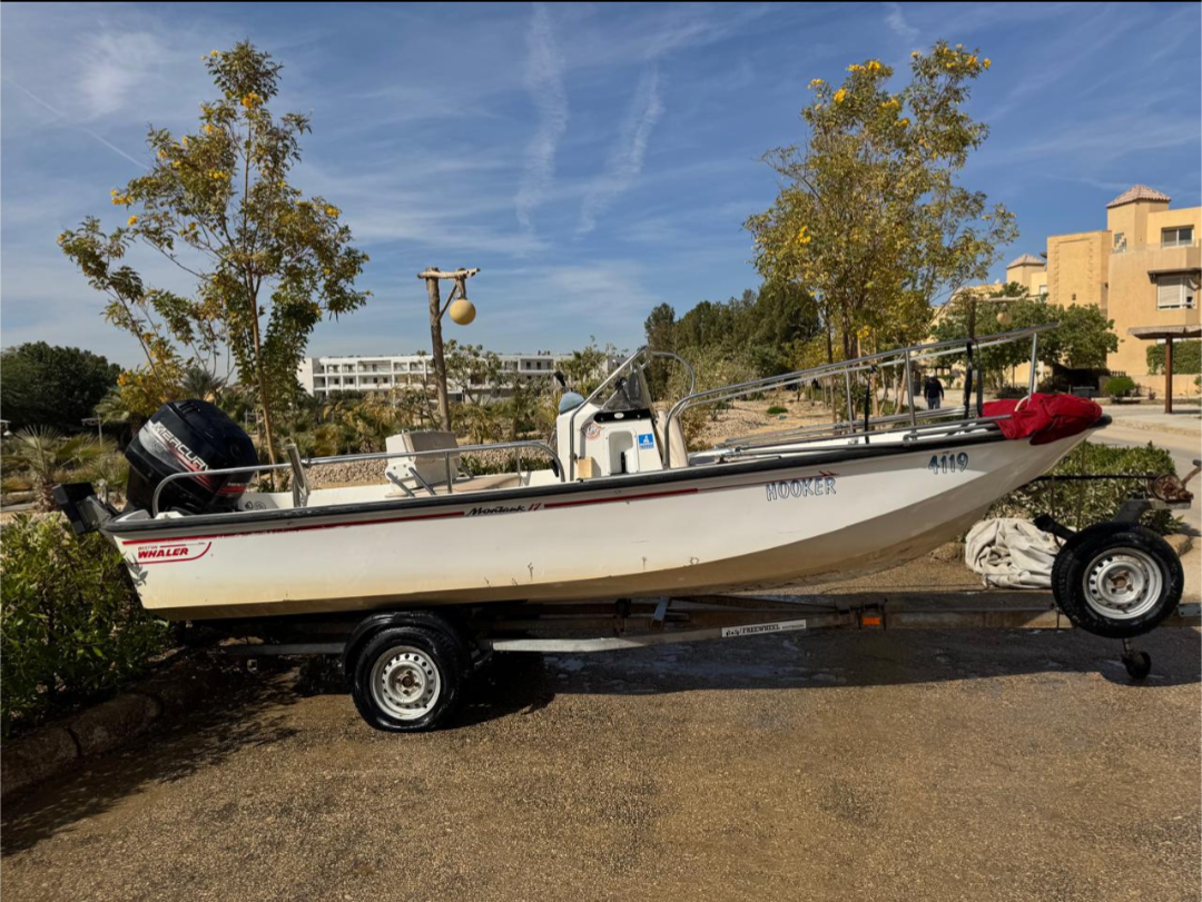 Boston Whaler Montauk 17