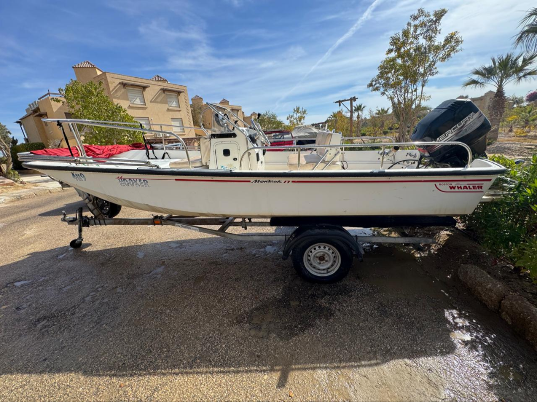 Boston Whaler Montauk 17