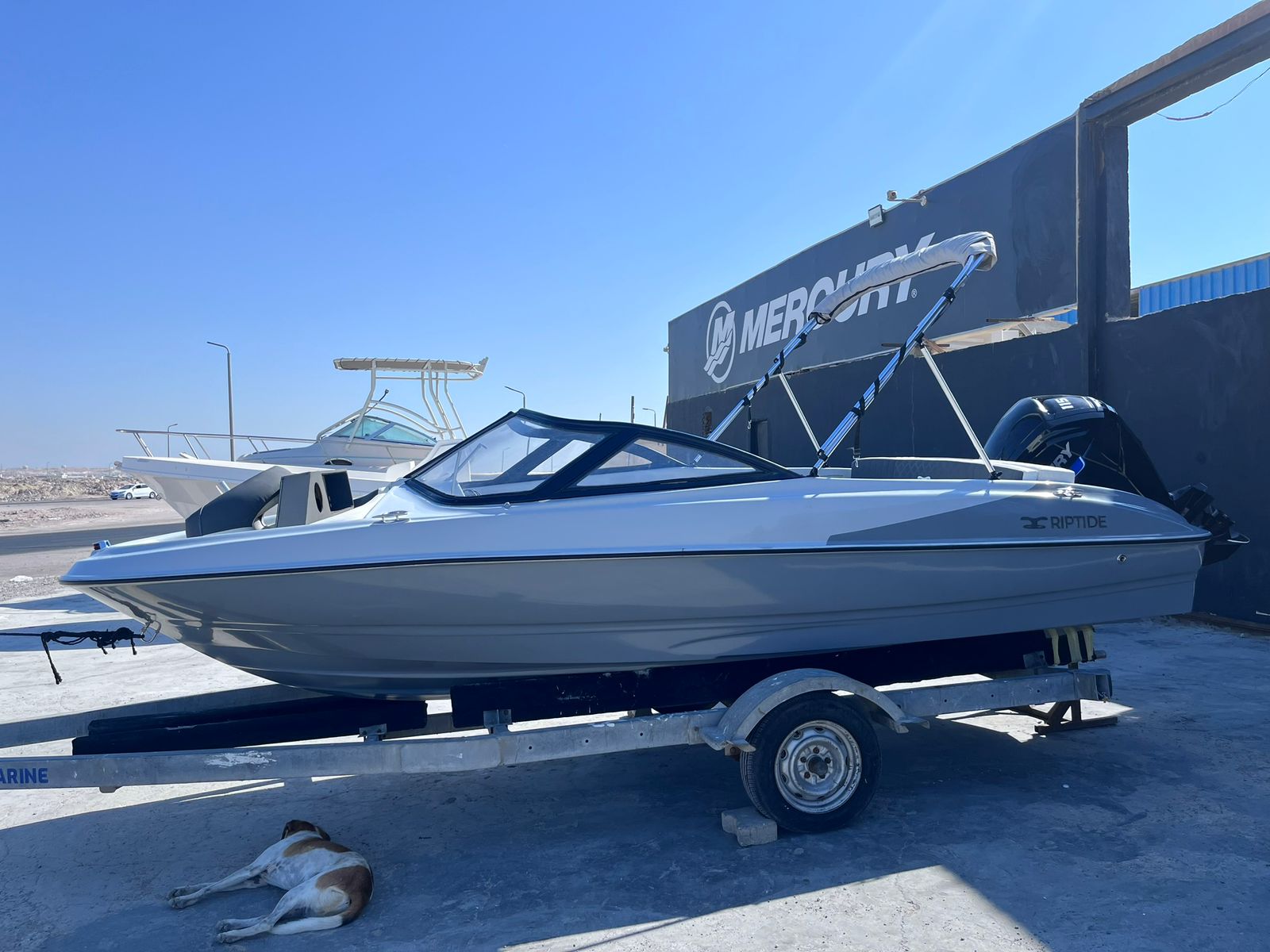 Sea Ray 18